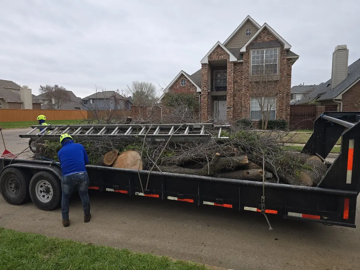 Expert Tree Fertilization with proper safety equipment in Fairfax